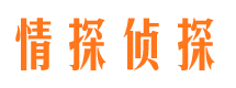 革吉市婚外情调查